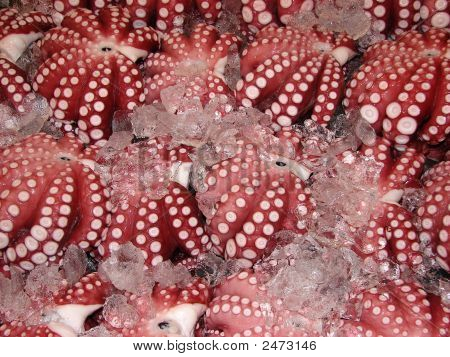 Kalatori, Tokio punainen Octopussy