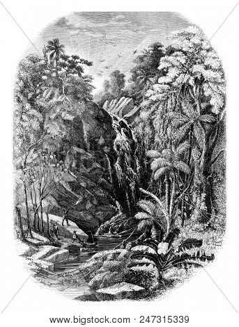 Waterfall in Moheli, vintage engraved illustration. Magasin Pittoresque 1855.