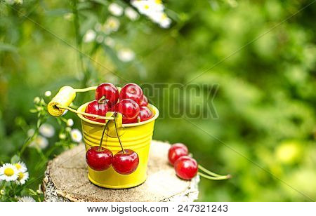 Red Ripe Cherry On A Background