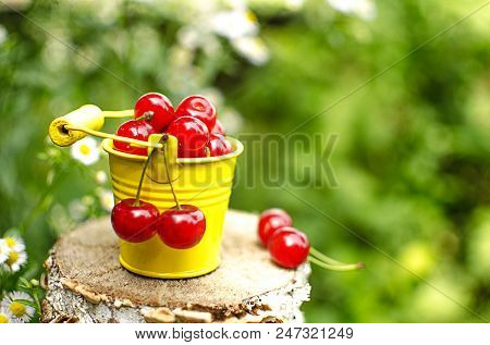 Red Ripe Cherry On A Background