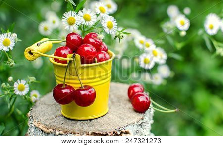 Red Ripe Cherry On A Background