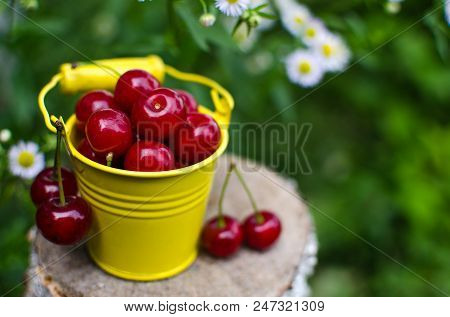 Red Ripe Cherry On A Background