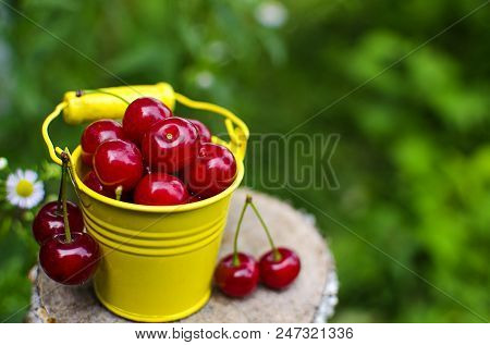 Red Ripe Cherry On A Background
