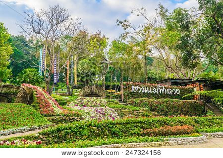 Doi Tung, Chiang Rai, Thailand January 12, 2018 Flower Garden In Doi Tung Project Winter Flowers In 