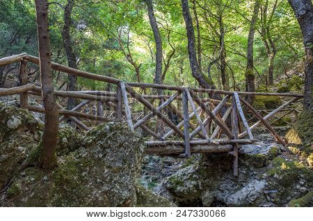 The Valley Of The Butterflies Peta Loudhes Rhodes Greece Europe