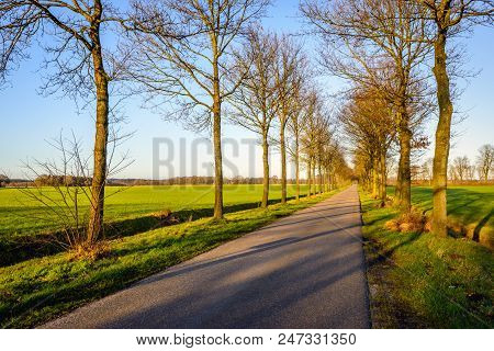 Seemingly Endless  Country Road In The Netherlands With Tall And Bare Trees At Both Roadsides Silhou