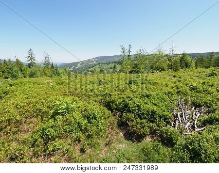 Salmopol Pass Near Kotarz Mount In Wonderful Silesian Beskids Mountains Range Landscapes Above Europ
