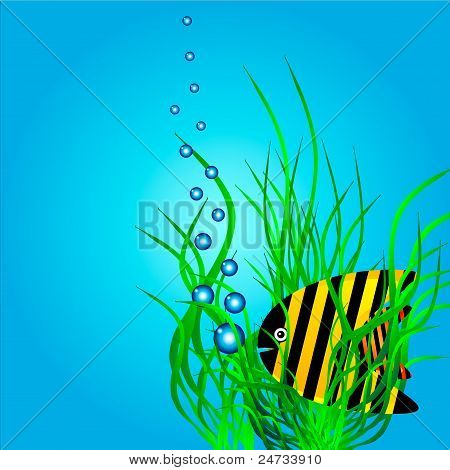 Sea life