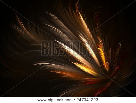 Fractal Pinnate Winged Topknot Background - Fractal Art