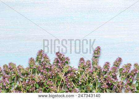flowering oregano on a wooden table. Place for text