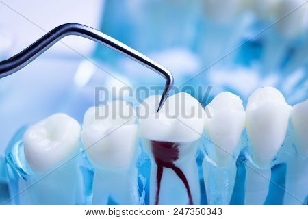 Dentist Cleaning Teeth