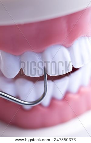 Dentist Cleaning Teeth