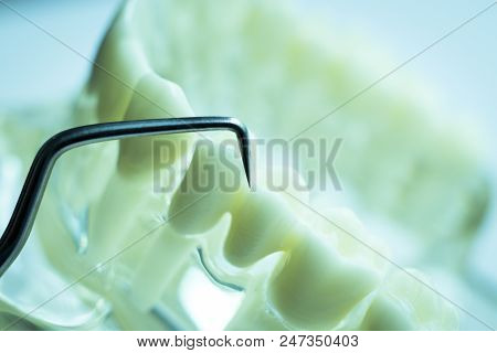 Dentist Cleaning Teeth