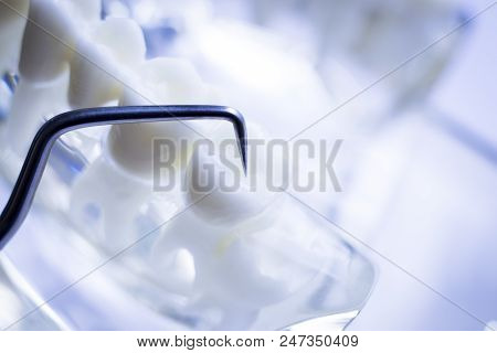 Dentist Cleaning Teeth