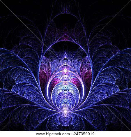 Fractal Pinnate Pattern  -  Fractal Blue Art