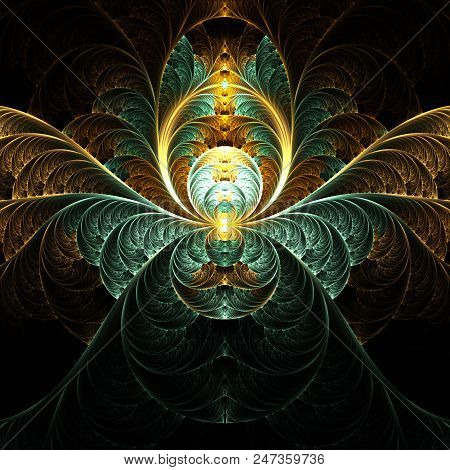 Fractal Pinnate Pattern  -  Fractal Shine Art