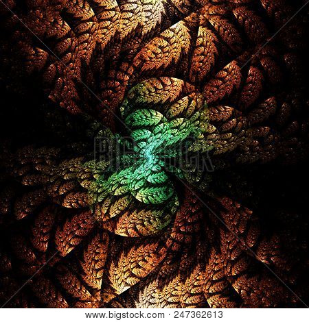Fractal Pinnate   Pattern  -  Fractal Bright Art
