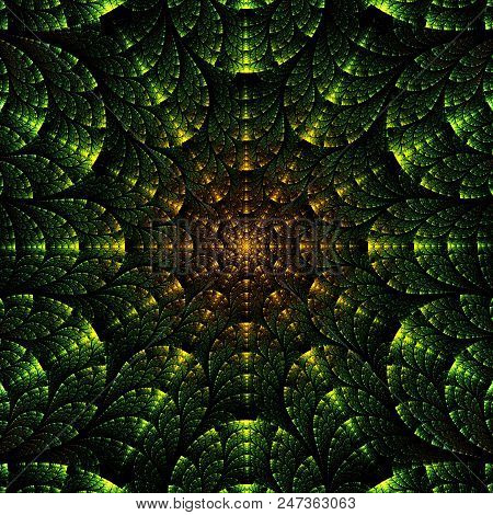 Fractal Pinnate   Pattern  -  Fractal Green Art