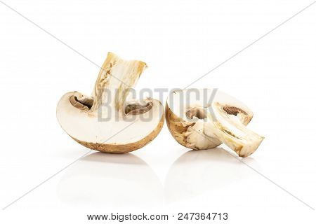 Two Brown Champignon Halves Isolated On White Background Fresh Raw Mushroom Cross Section