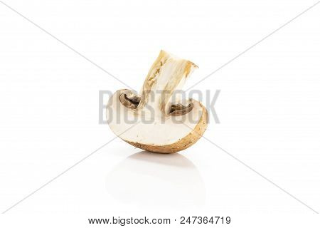 One Brown Champignon Half Isolated On White Background Fresh Raw Mushroom Cross Section