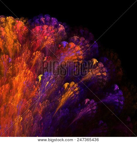 Fractal Alien Branches Isolated On Black  - Fractal Art