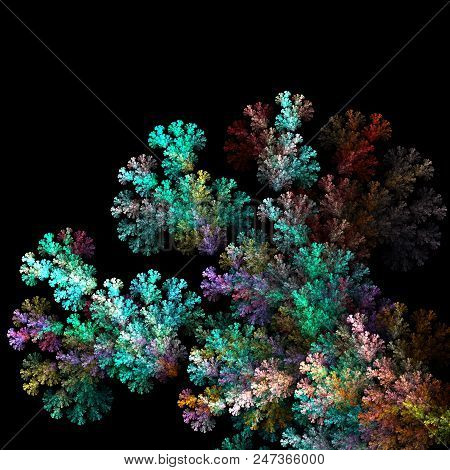 Fractal Alien Branches Isolated On Black  - Fractal Art
