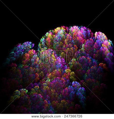 Fractal Alien Branches Isolated On Black  - Fractal Art