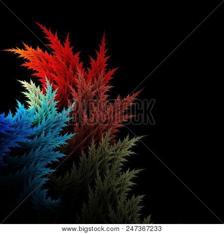 Fractal Branches Isolated On Black  - Fractal Art