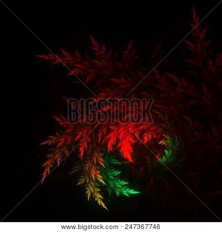 Fractal Branches Isolated On Black  - Fractal Art