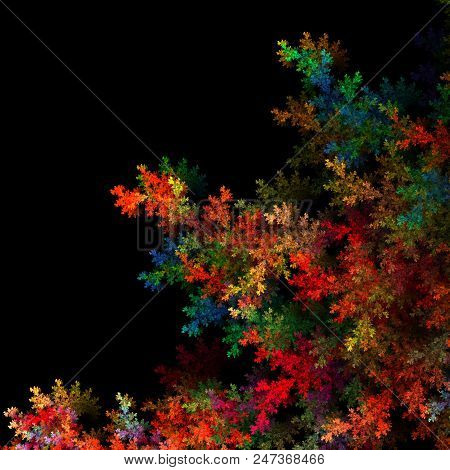 Fractal Branches Isolated On Black  - Fractal Art