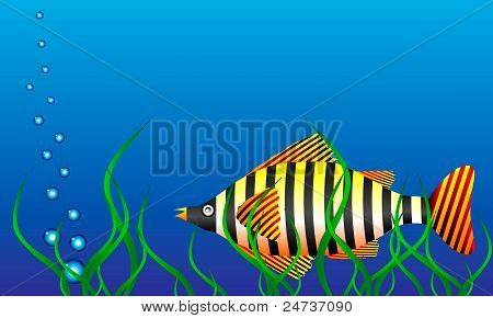 Sea life
