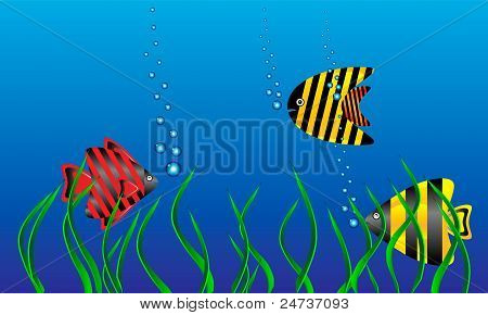 Sea life