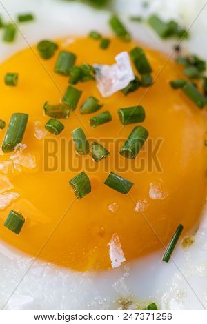 Closeup Of A Egg In A Pan