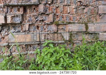 Simple Photo Background Pattern Of Red Brick Wall Fragment With Green Grass