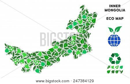 Ecology Chinese Inner Mongolia Map Composition Of Herbal Leaves In Green Color Tints. Ecological Env