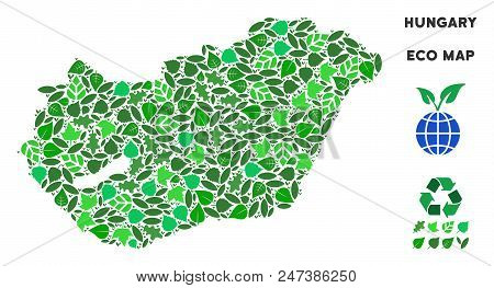 Eco Hungary Map Collage Of Floral Leaves In Green Color Shades. Ecological Environment Vector Concep