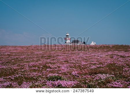 Loop Head Lighthouse County Clare Ireland On The Wild Atlantic Way