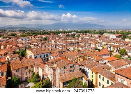 Aerial view of Lucca old town with mediterranean terracotta roof buildings on narrow streets, Tuscany, Italy