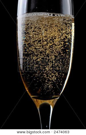 Champagne