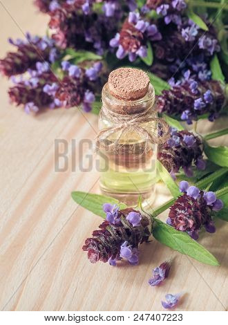 Medicinal Herb. Common Self Heal (prunella Vulgaris) Scented Oil
