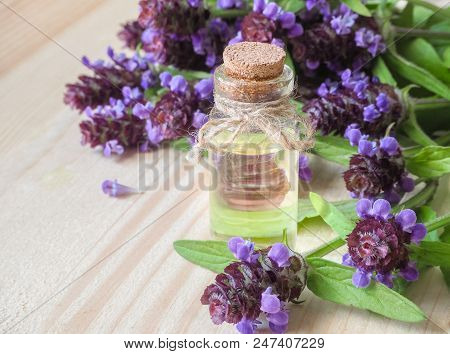Medicinal Herb. Common Self Heal (prunella Vulgaris) Scented Oil