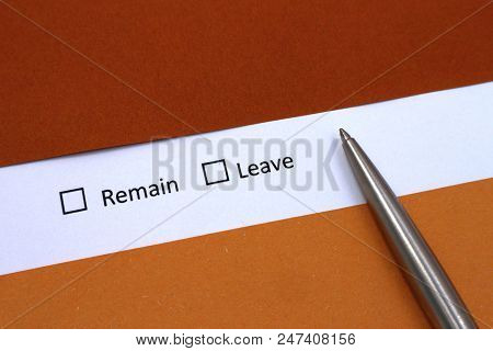 Remain Or Leave Choice. Decision Thinking Concept.