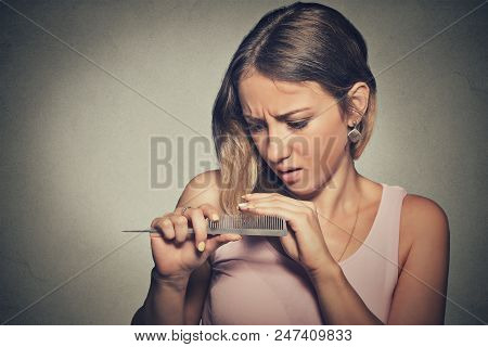 Closeup Unhappy Frustrated Young Woman Surprised She Is Losing Hair, Noticed Split Ends Receding Hai