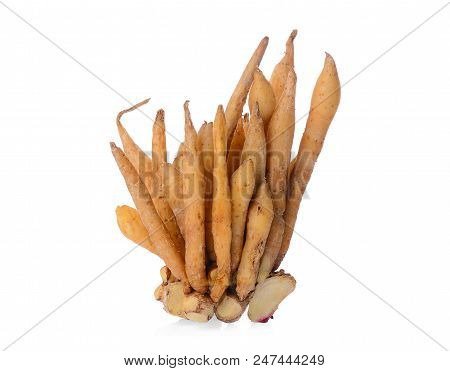 Fresh Fingerroot Isolated On The White Background
