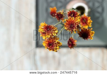 Cute Bouquet Of Flowers On A Table  In A Cafe