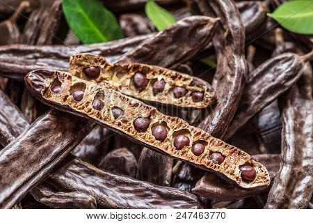 Carob pods and carob beans on the wooden table.