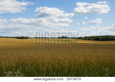 Paisaje