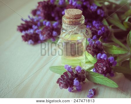 Medicinal Herb. Common Self Heal (prunella Vulgaris) Scented Oil