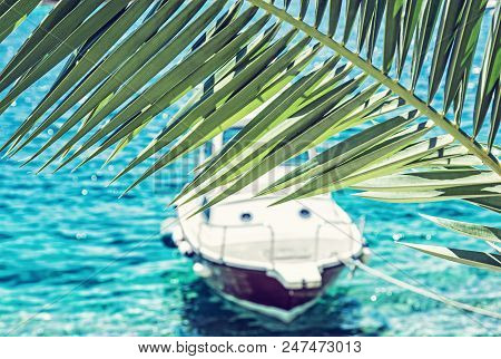 Beautiful Palm Tree And Little Boat In Maslinica, Solta Island, Croatia. Summer Vacation Destination
