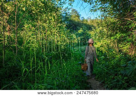 Young Girl Walking On A Path Through Green Woods Carrying A Birchbark Basket